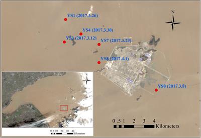 Characteristics of Microbial Communities and Their Correlation With Environmental Substrates and Sediment Type in the Gas-Bearing Formation of Hangzhou Bay, China